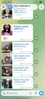 Desi Collection Combo (4 Groups) 5000+ Videos - Image 2