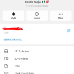 Exotic Ninja (African Tiktok)